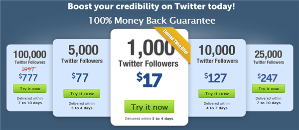 fake-twitter